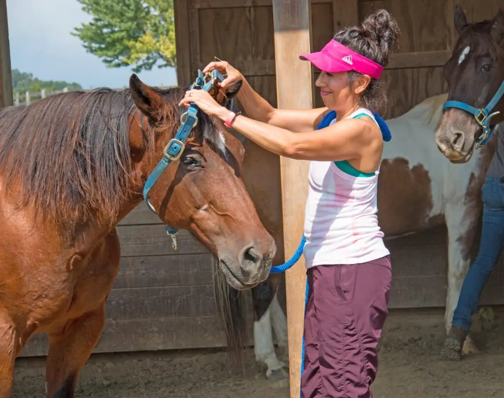 A woman in a pink visor and athletic clothes adjusts the halter on a brown horse outside a wooden stable, with another horse in the background.
