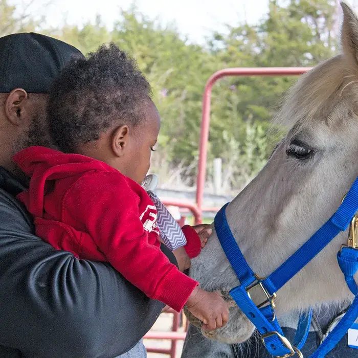 A man holds a young child dressed in red as they reach out to touch the face of a light-colored horse wearing a blue halter. Trees and a red fence are visible in the background.