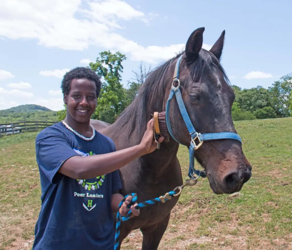 A smiling person wearing a dark blue t-shirt stands next to a brown horse with a blue halter, holding its lead rope, outdoors on a sunny day with green trees and hills in the background.