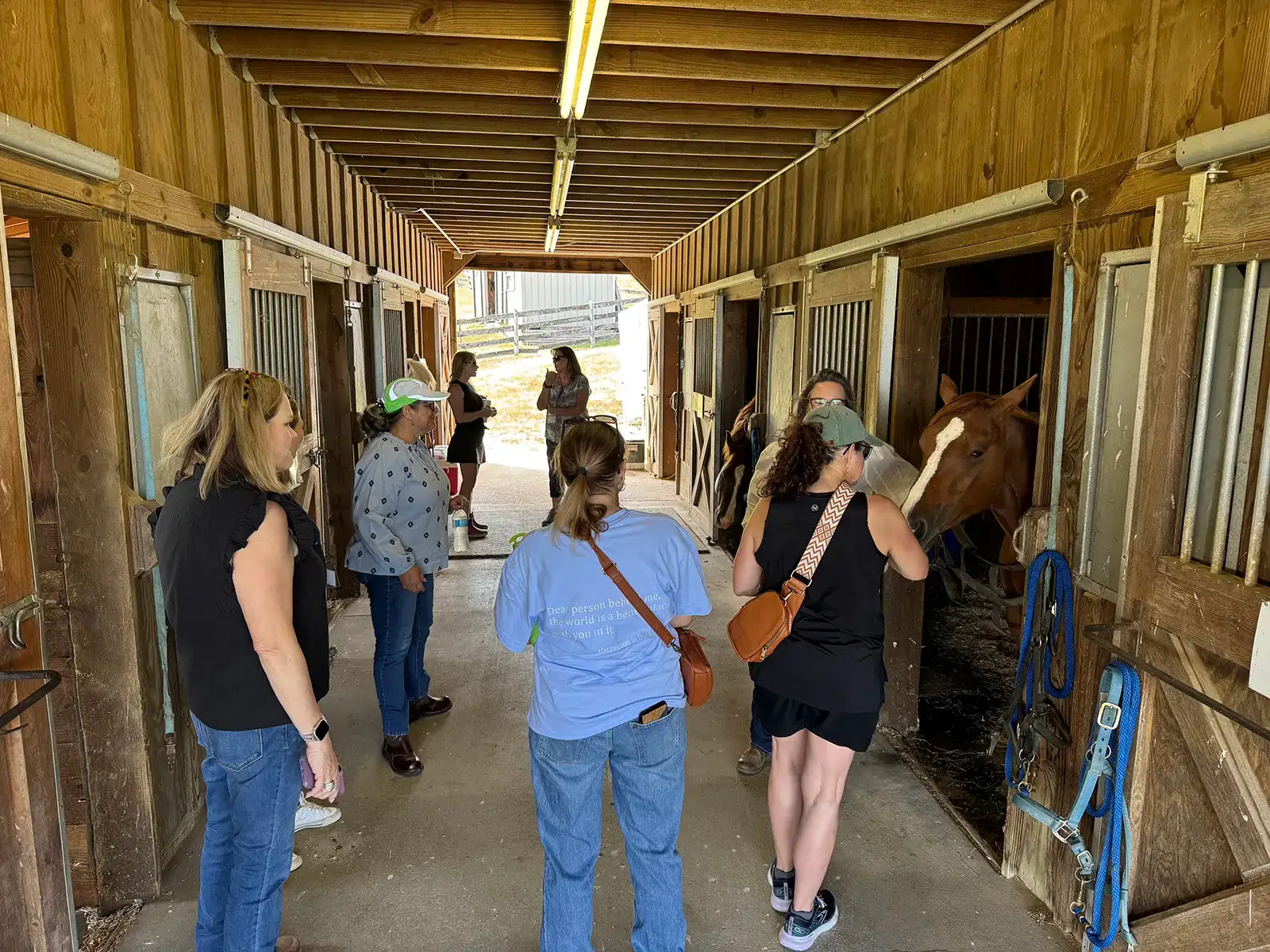 A group of people stand in a wooden stable corridor, interacting with horses in stalls. Some pet the horses while others watch or talk, with sunlight streaming in from the open end of the stable.